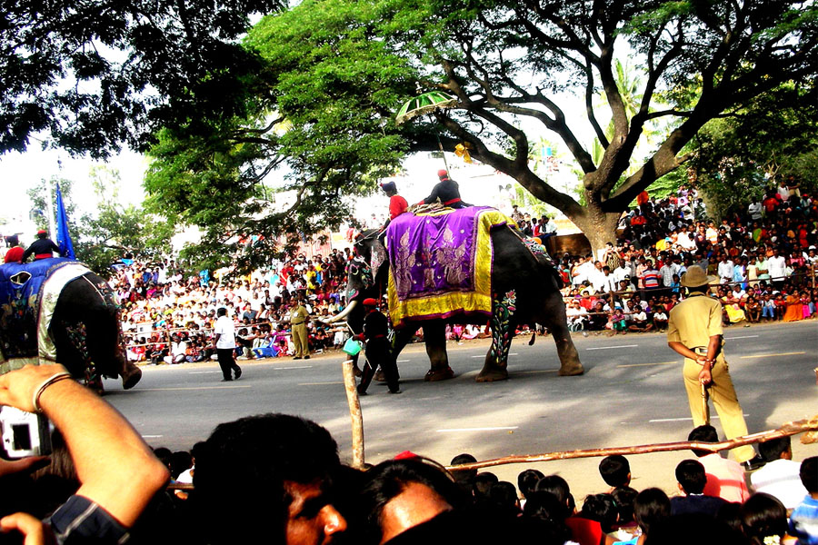 Mysore Dasara Festival 2025 Shikhar Travels